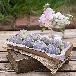 《优米雅的炼金工房》＆《铁拳》联动宣传片 还有抽奖活动！